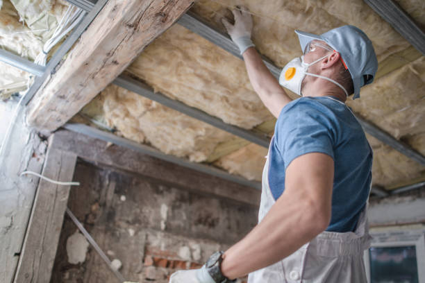 Best Insulation Materials and Products in Random Lake, WI
